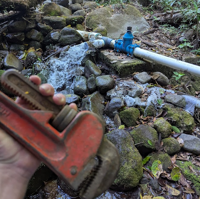 The Tragedy of the Commons