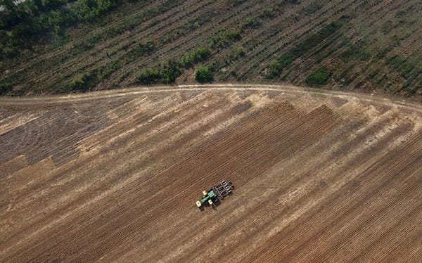 Getting bullish on food